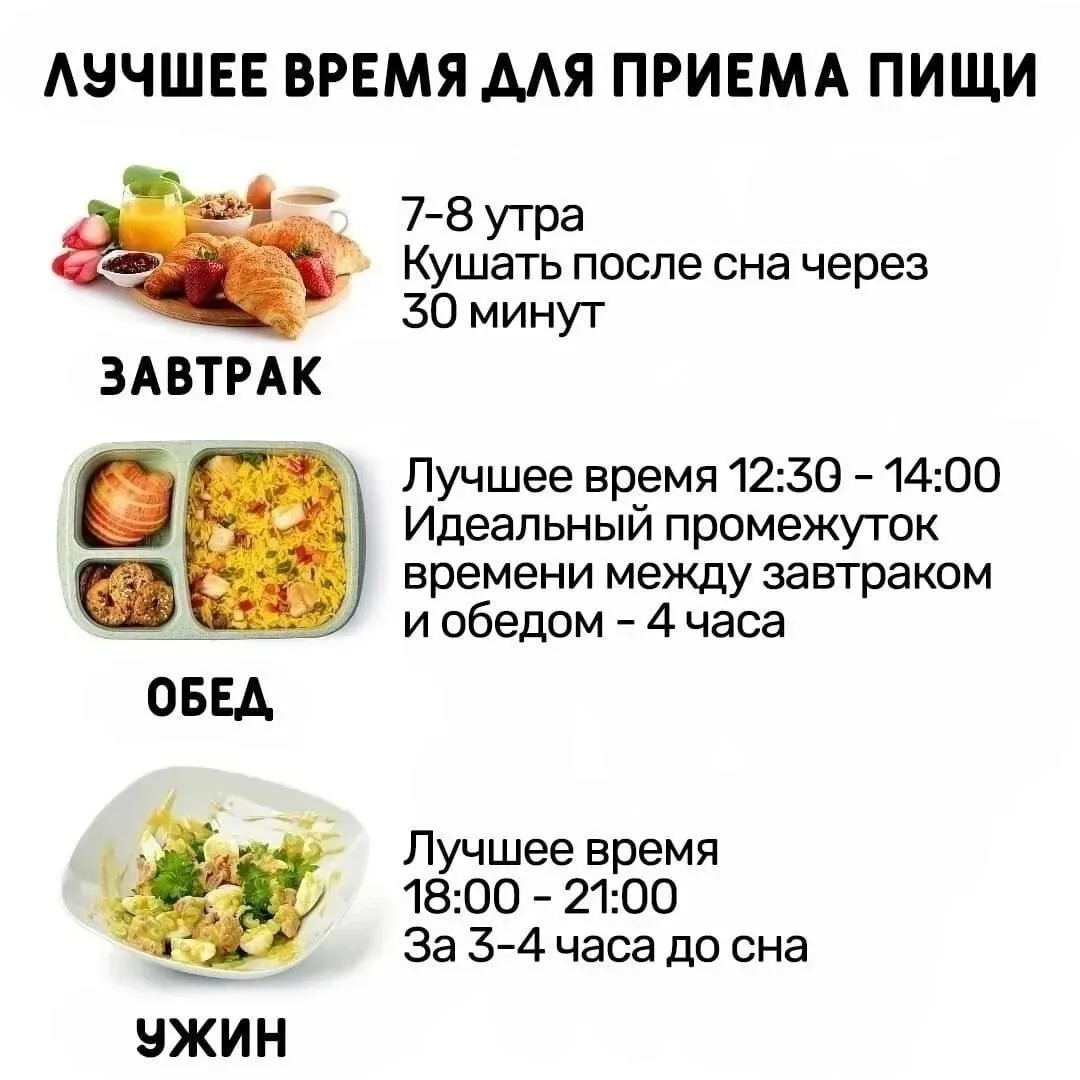 Почему желательно принимать пищу в одно и тоже время?