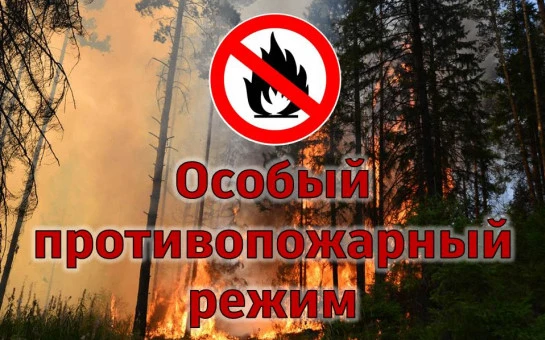 В соответствии со статьей 30 Федерального закона «О пожарной безопасности», статьей 20 Закона Респуб