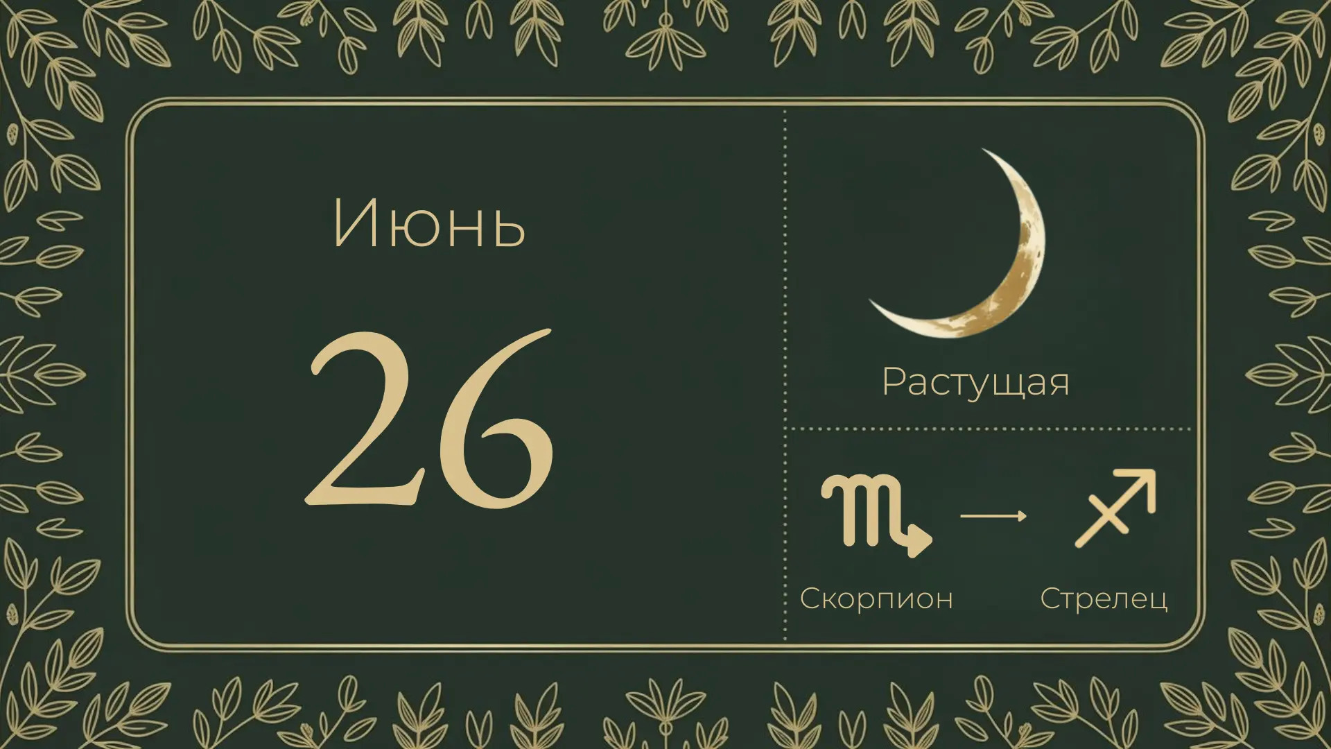 🌒 26 июня — растущая луна, 11-й лунный день