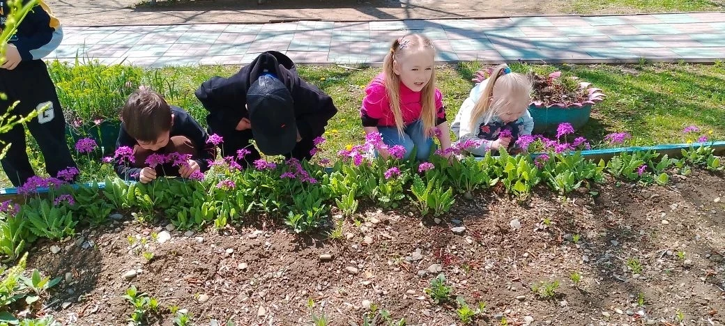 " Наблюдение за цветами и кустарниками, которые цветут в мае" 🌸🌷🌹🌼