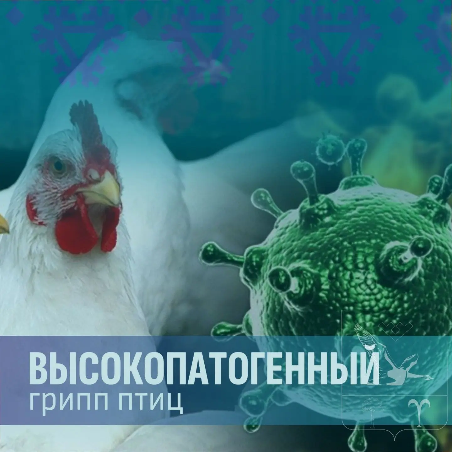 ВЫСОКОПАТОГЕННЫЙ ГРИПП ПТИЦ - острая контагиозная вирусная инфекция домашних и диких пт...