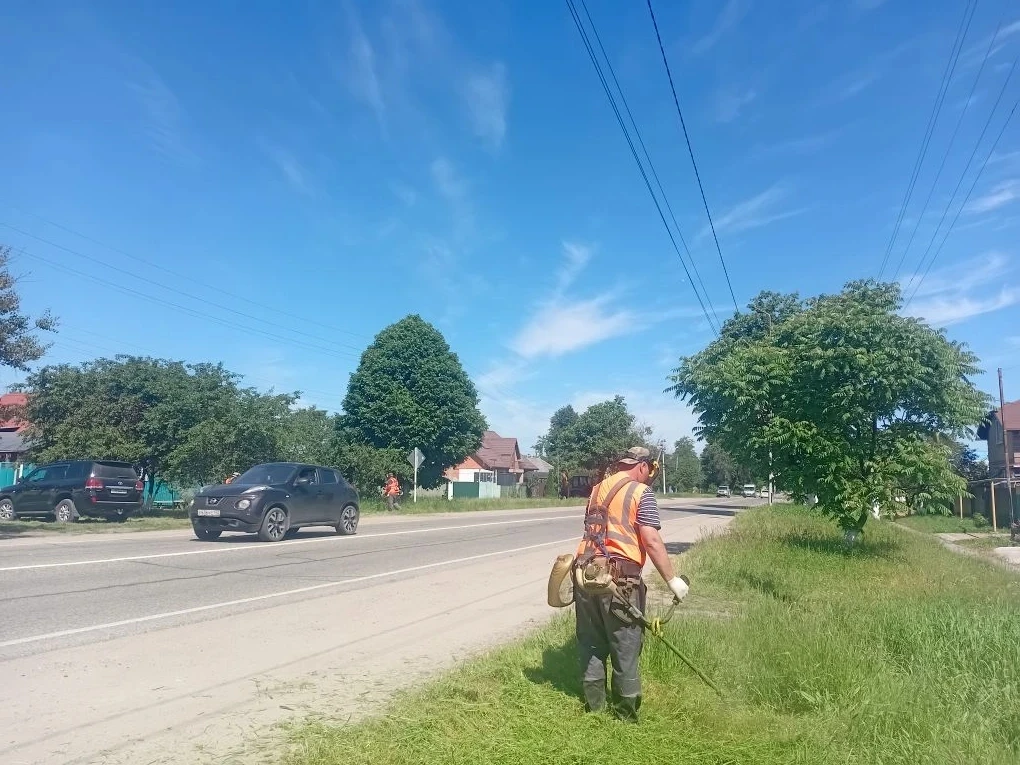 Скашивание сорной растительности по улице Красной пгт Мостовского