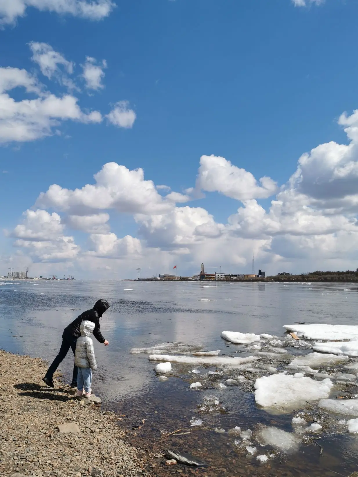 #Благовещенск Сегодня мы стали свидетелями редкого природного явления, когда белый амур...
