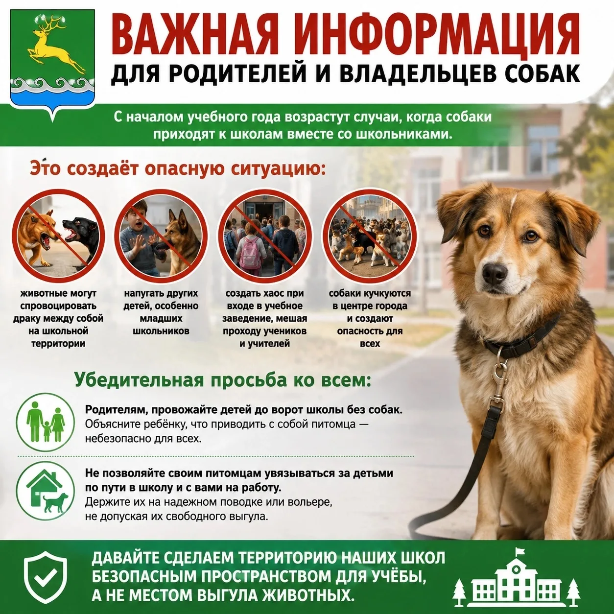 🛑ВНИМАНИЕ! ВАЖНАЯ ИНФОРМАЦИЯ ДЛЯ РОДИТЕЛЕЙ И ВЛАДЕЛЬЦЕВ СОБАК