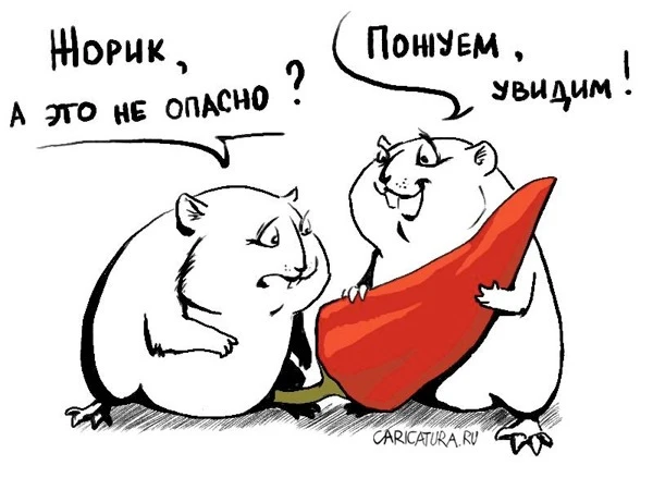 Как сказала бы тетя Соня на Одесском "Причем тут ваша паприка и моя талия?!"