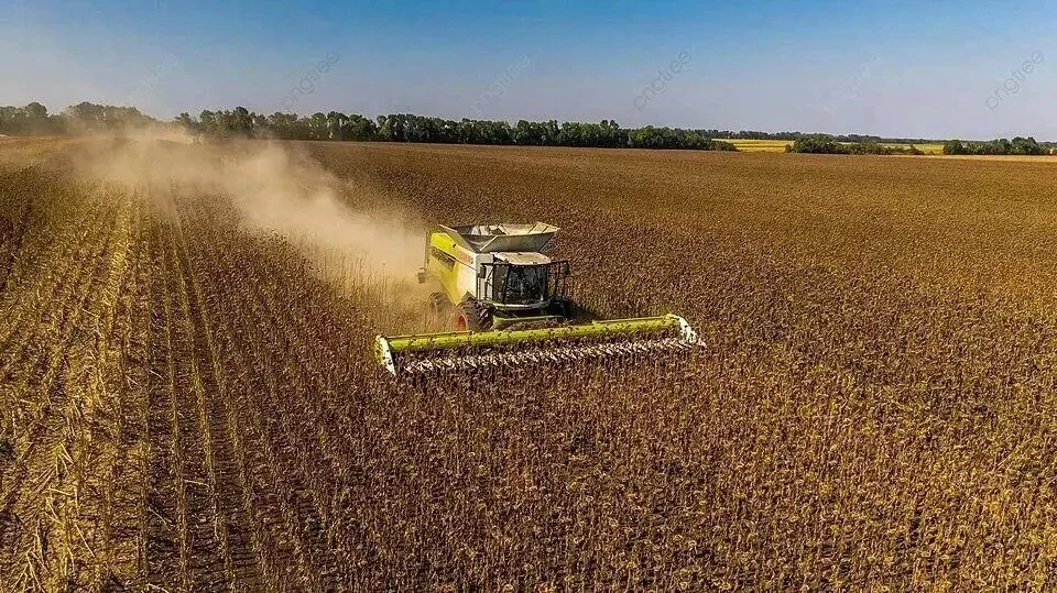 🌾 В Ртищевском районе продолжается уборочная кампания