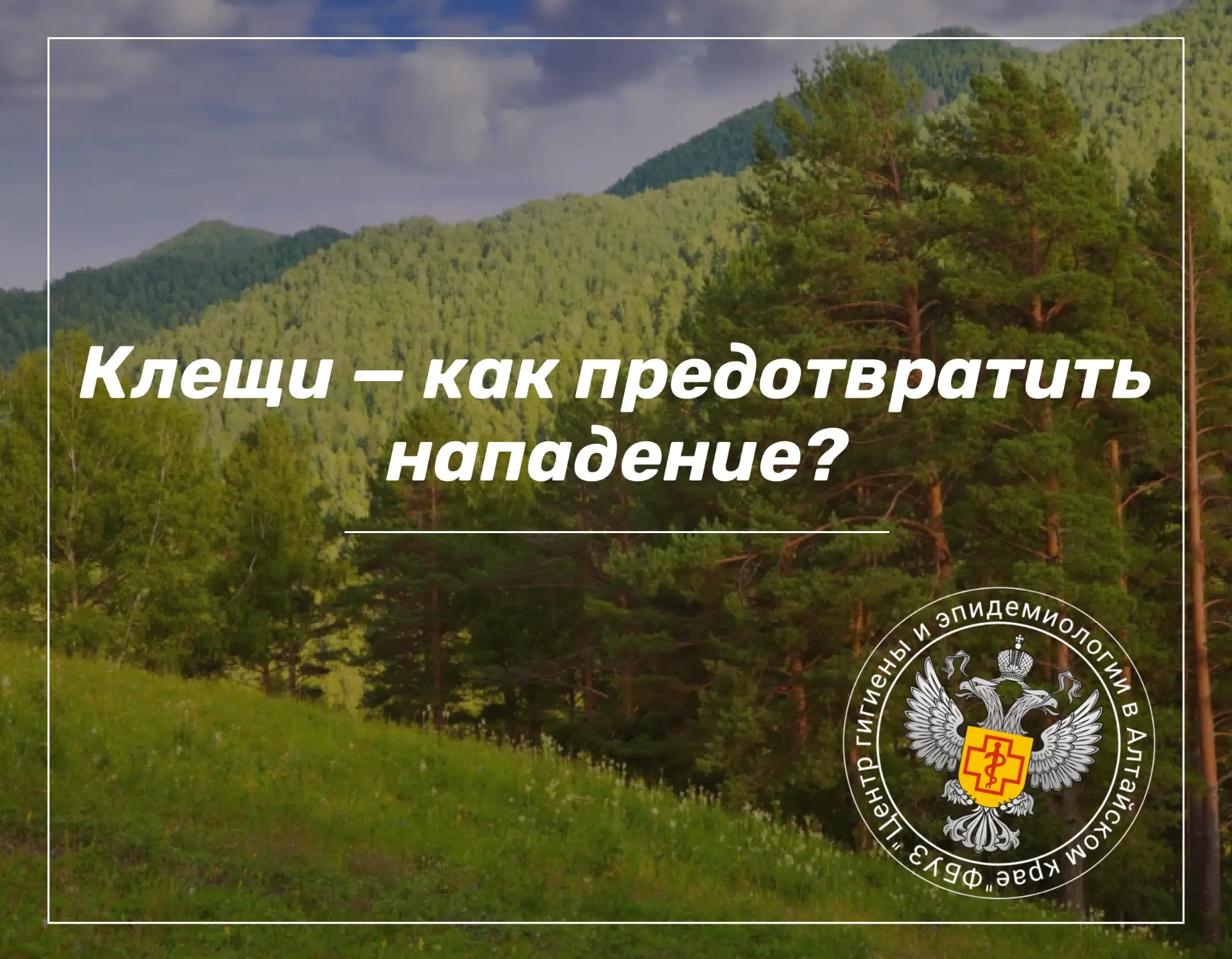 ✅В преддверии повторной сезонной активности клещей в нашем регионе предлагаем вашему вниманию нескол