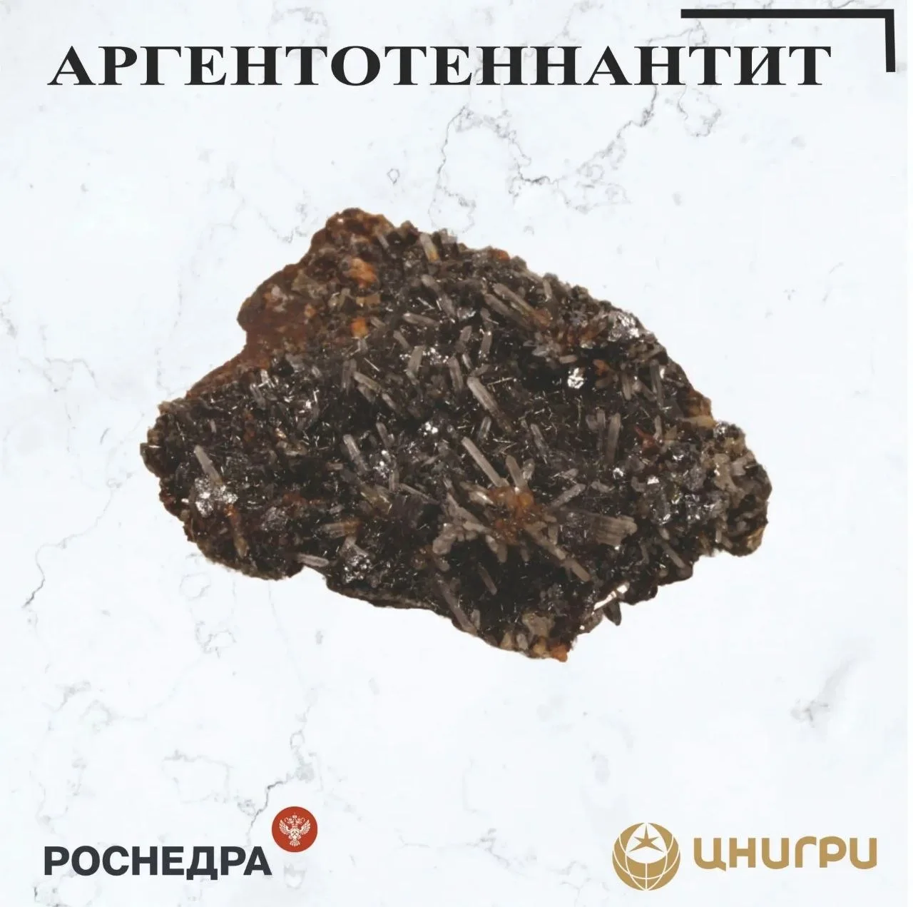 В эту среду ЦНИГРИ⁉️