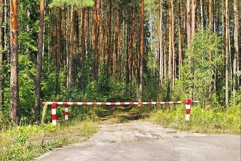 В Иркутской области вновь ввели ограничение на пребывание в лесу при высоких классах по...
