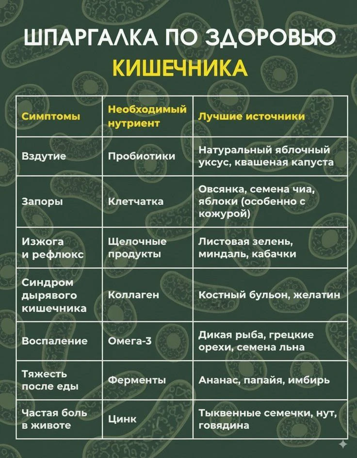 🌿 Что необходимо кишечнику для стабильной работы

Вздутие, запоры и чувство тяжести после еды — это