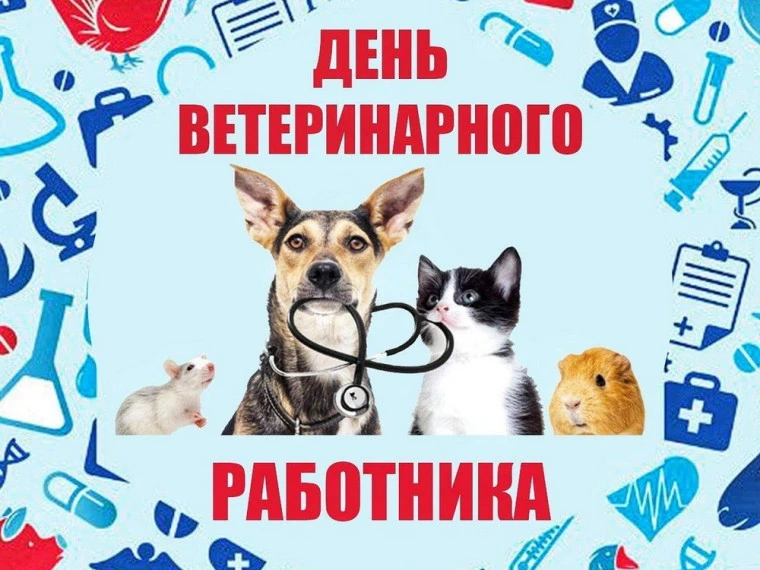 С Днём ветеринарного работника, дорогие наши защитники здоровья животных! 🎉