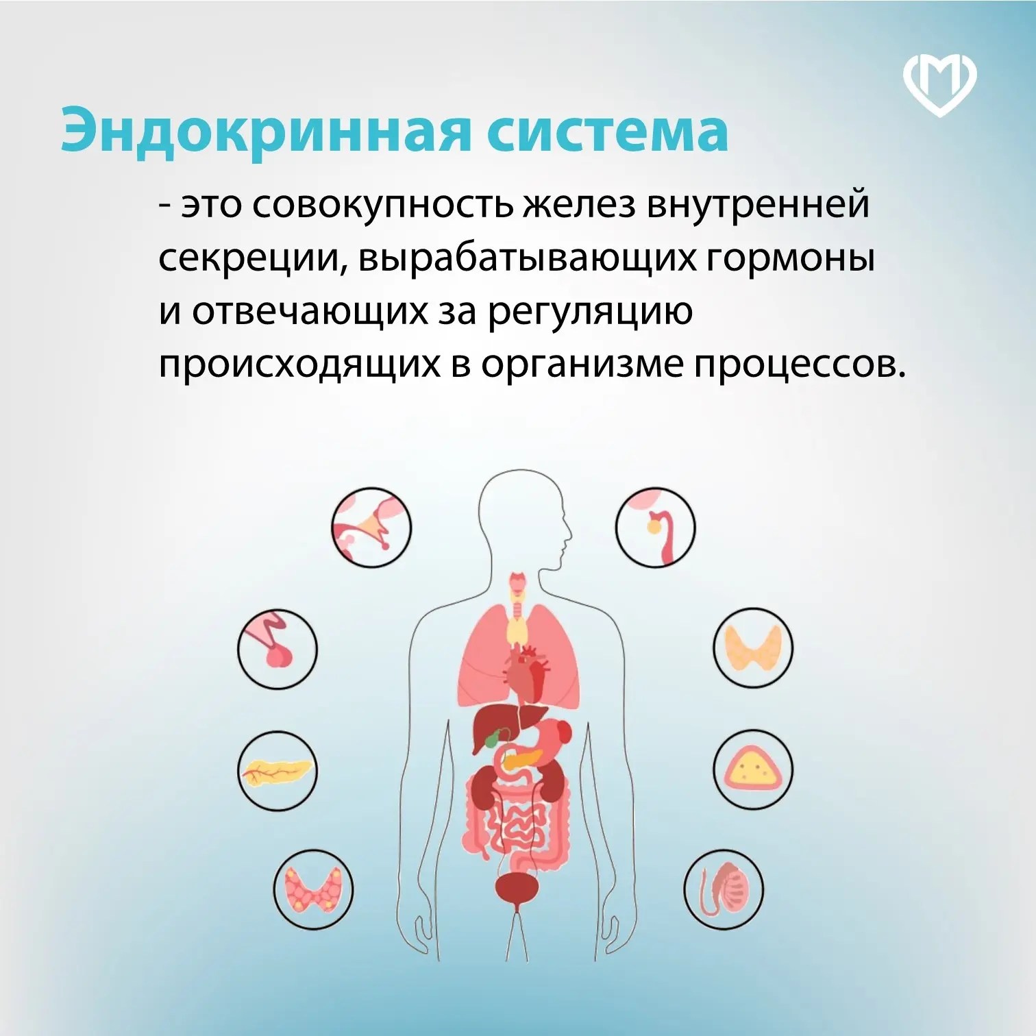 С 18 по 24 мая 2026 года проходит Неделя профилактики заболеваний эндокринной системы —...