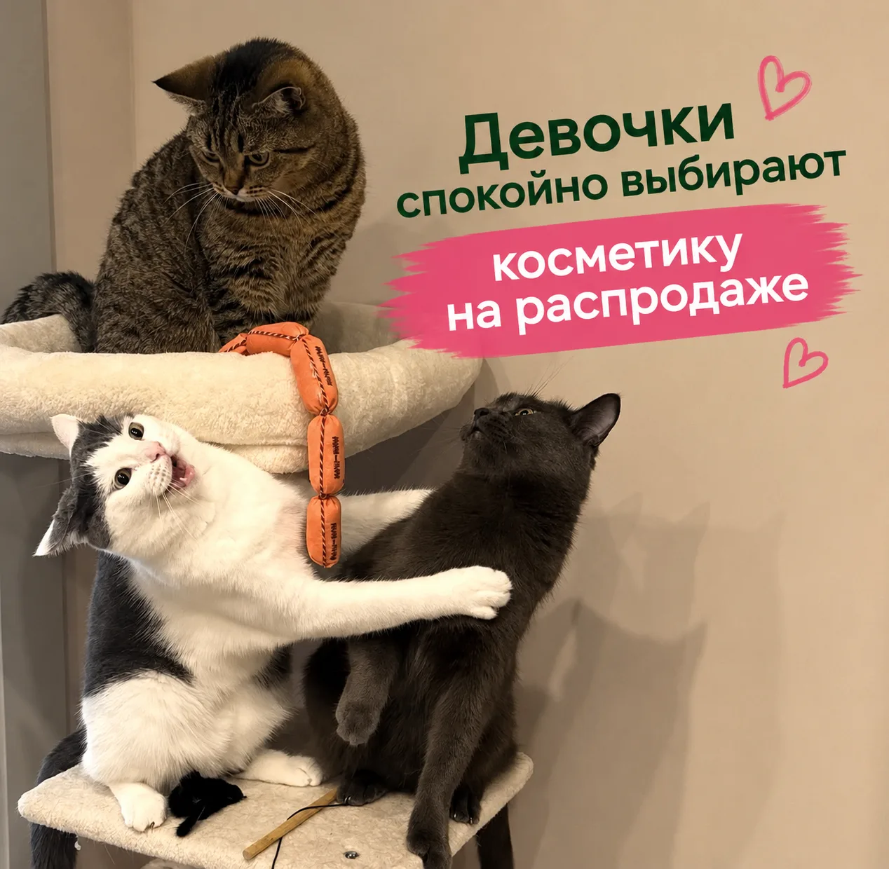 Когда распродажа в самом разгаре😃