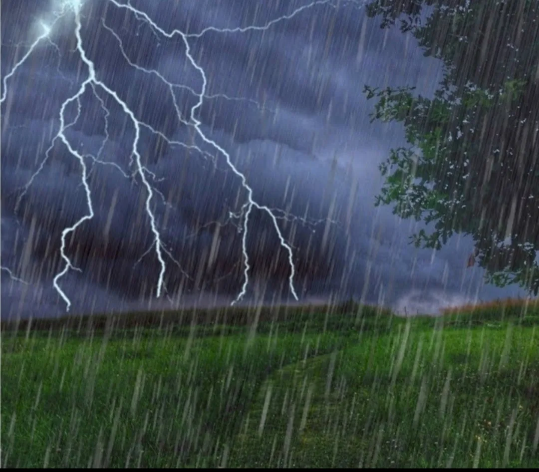 ⚡В единый день безопасности повторим правила поведения  при грозе⚡ 
 
Если гроза застала вас на откр