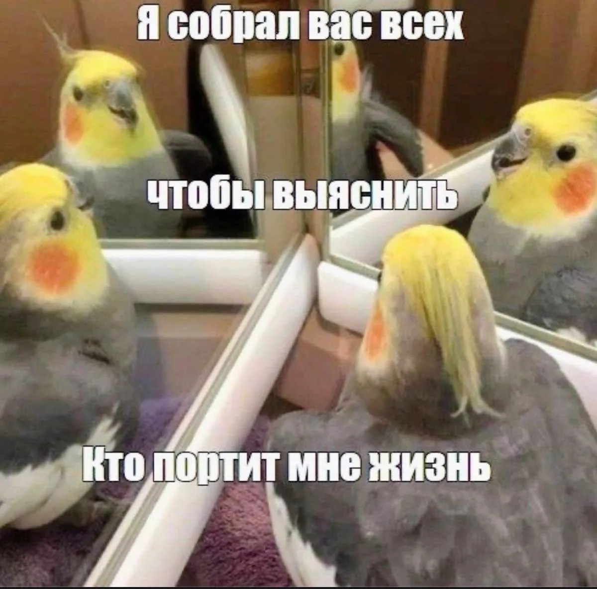 Я тоже с ними переодически разговариваю 🤣

Мой канал в MAX