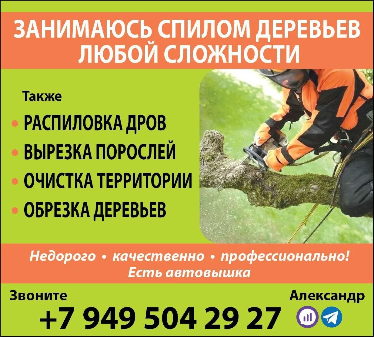 Занимаюсь спилом деревьев любой сложности. Также распиловка дров, вырезка порослей, очи...