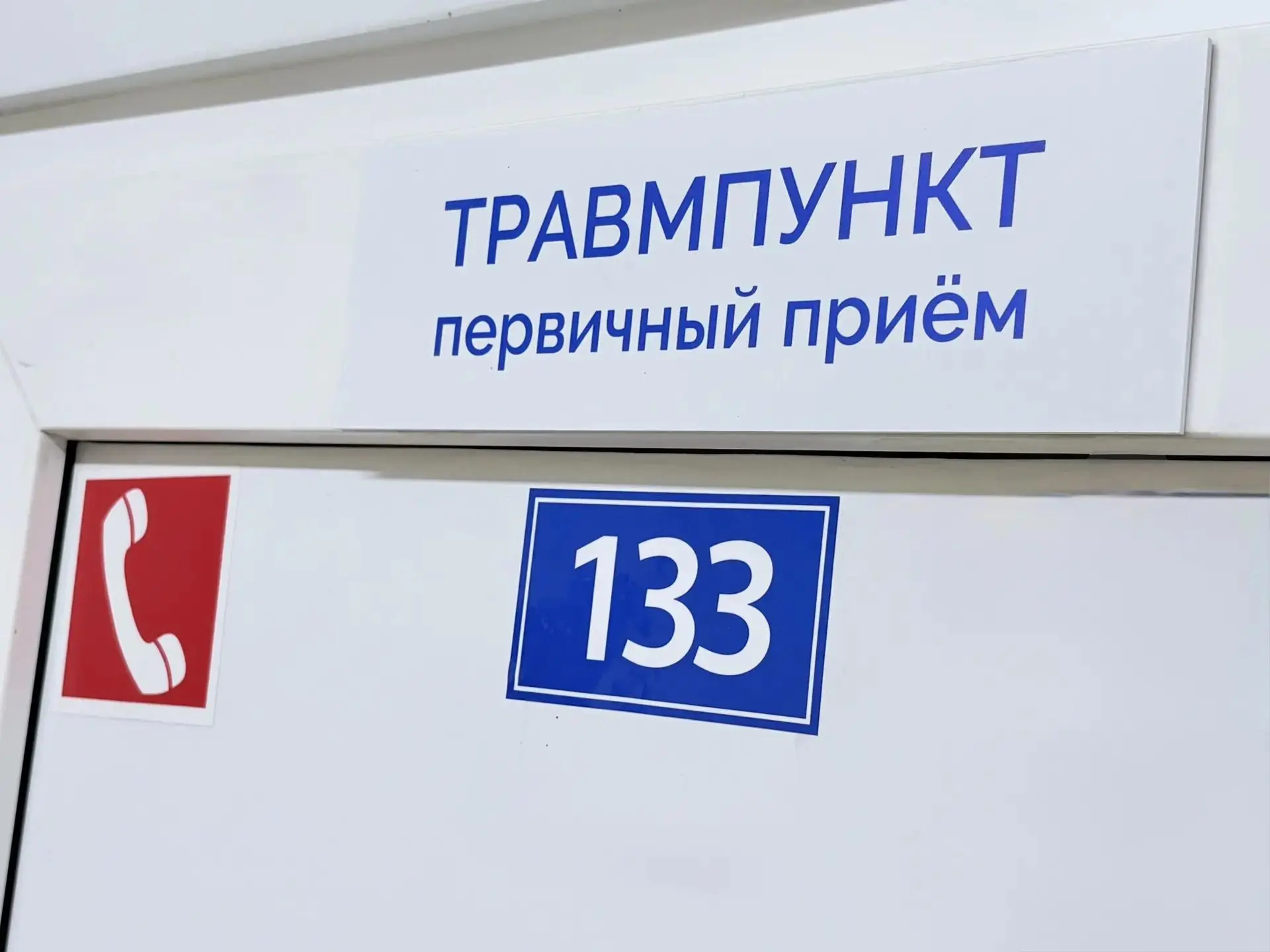 Опасная встреча: земляные пчёлы атаковали рыбака из Бийска