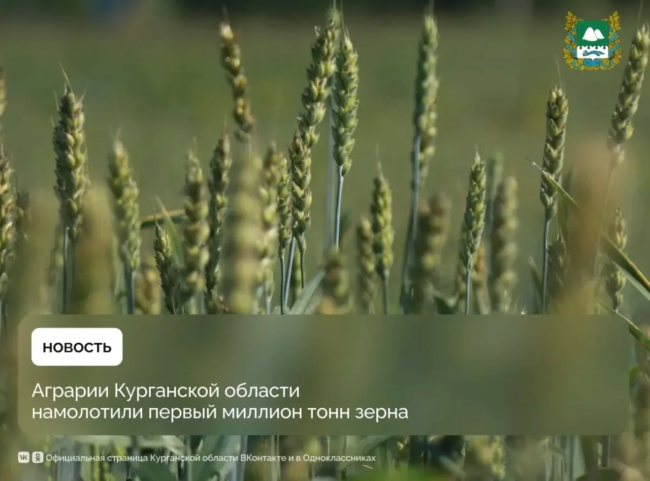 🌾Курганская область достигла важного рубежа в ходе уборочной кампании — аграрии намоло...