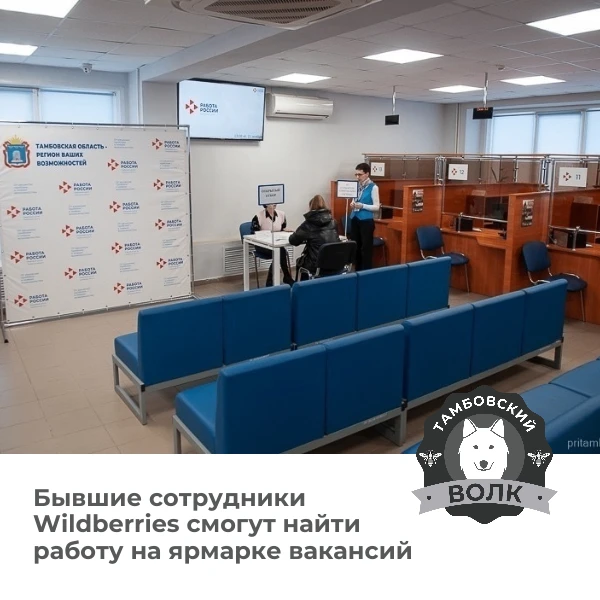 В Тамбове пройдёт ярмарка вакансий для сотрудников Wildberries📋
