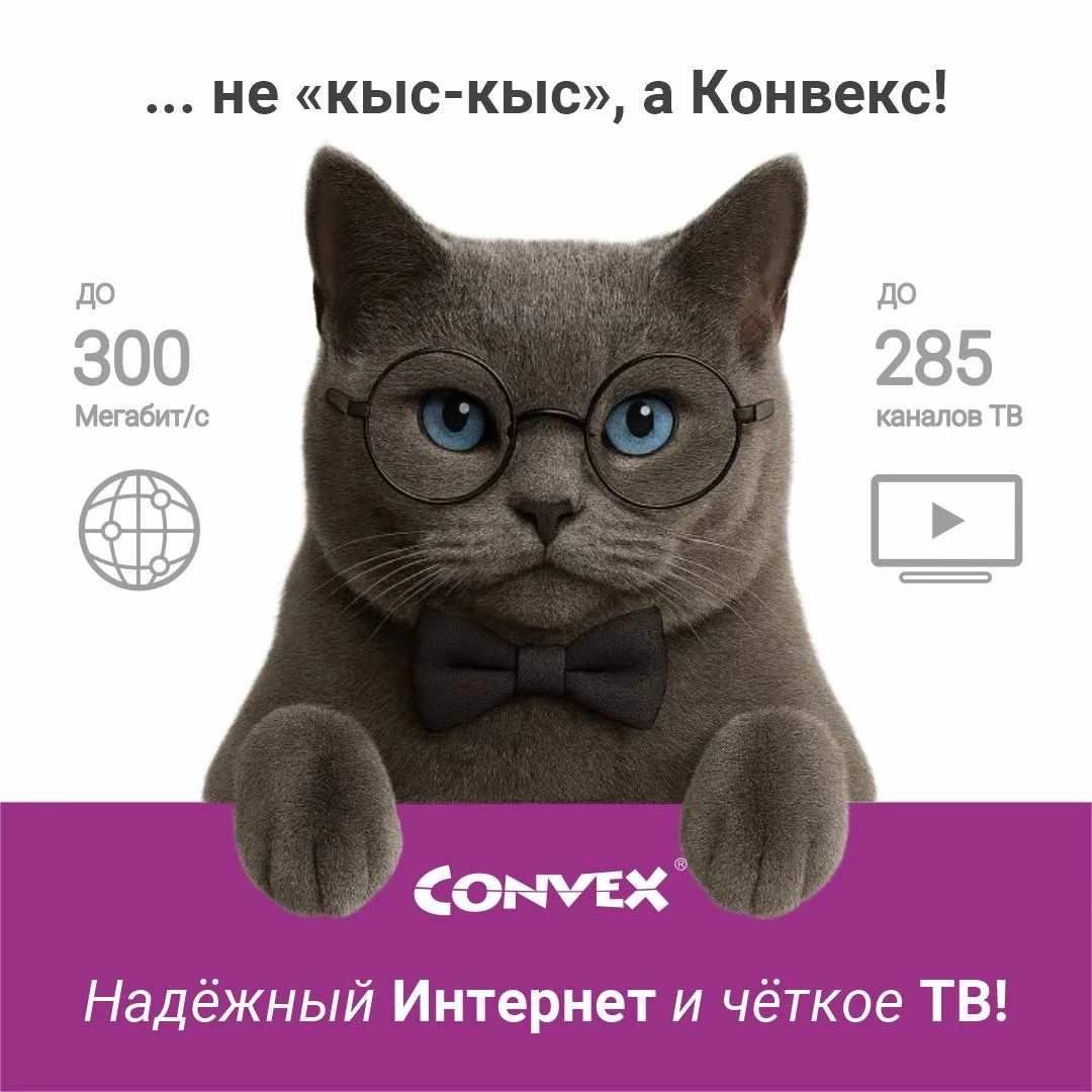 Котики рекомендуют!