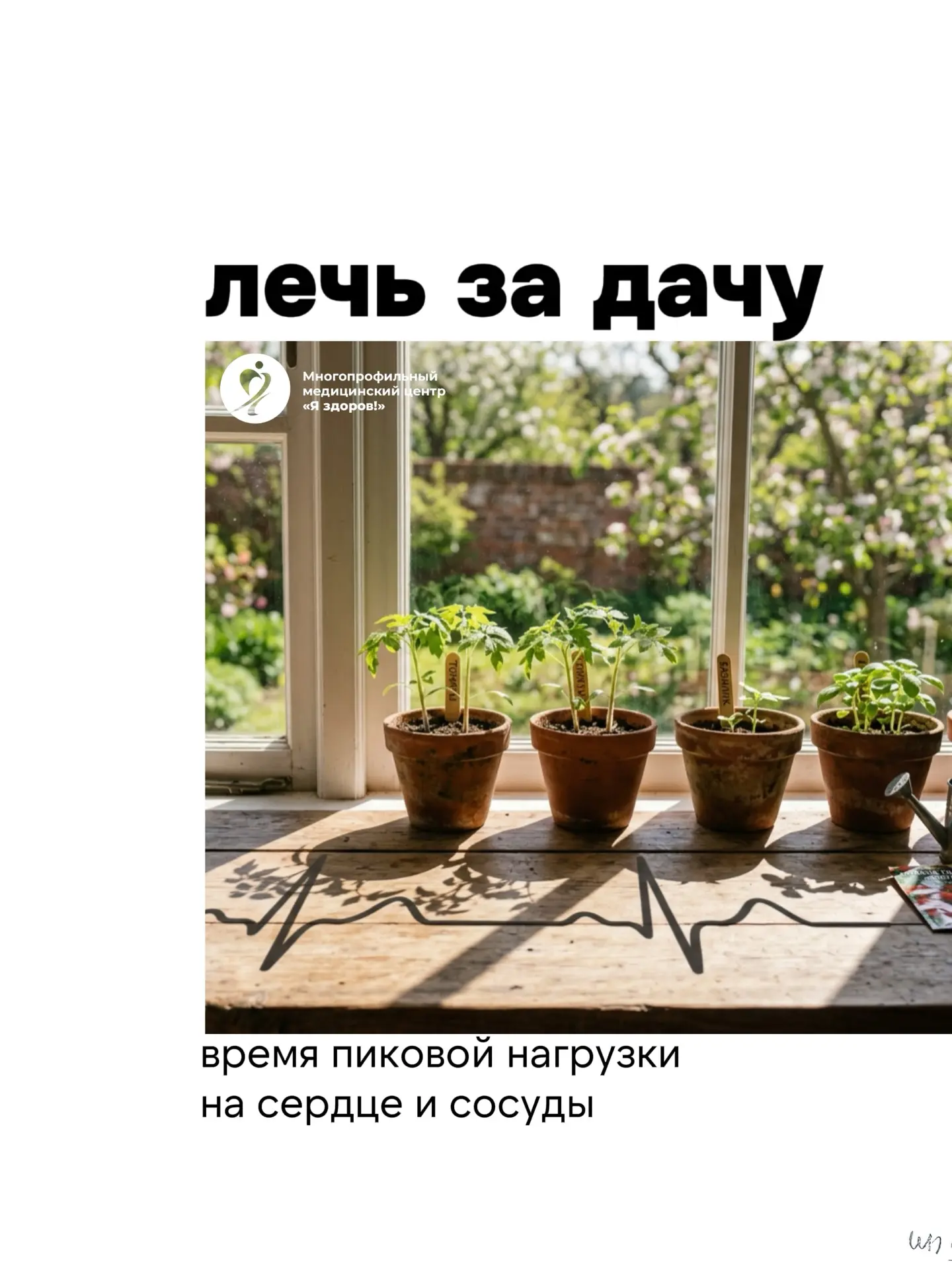 Листай, если хочешь встретить лето на ногах, а не на больничной койке.