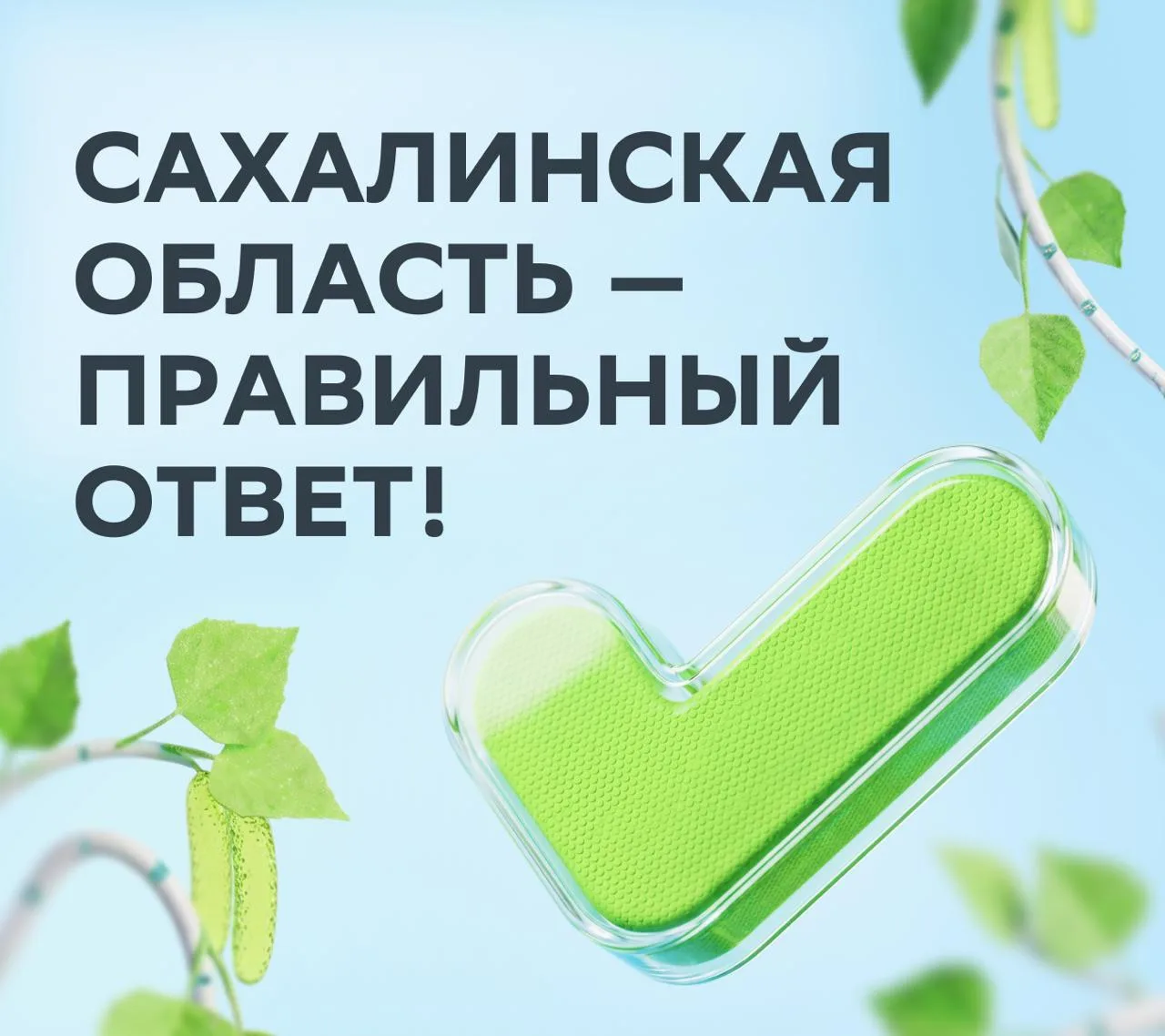 ✔ Верный ответ — Сахалинская область!

По данным Росстата, ВРП на душу населения там превышает 3,6 м