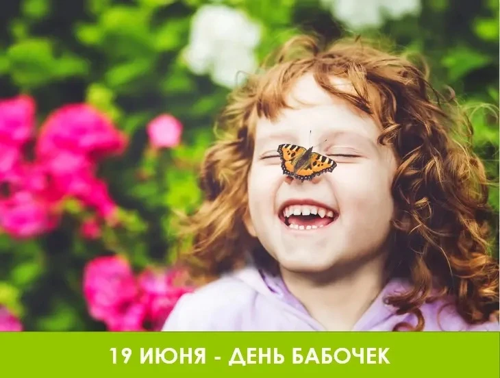 🦋УДИВИТЕЛЬНЫЙ МИР БАБОЧЕК🦋

🌿🦋Ежегодно 19 июня в России отмечается экологический праздник - День