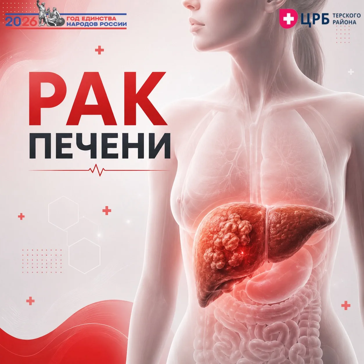 Рак печени — серьёзное заболевание, которое нередко развивается на фоне хронических болезней печени,