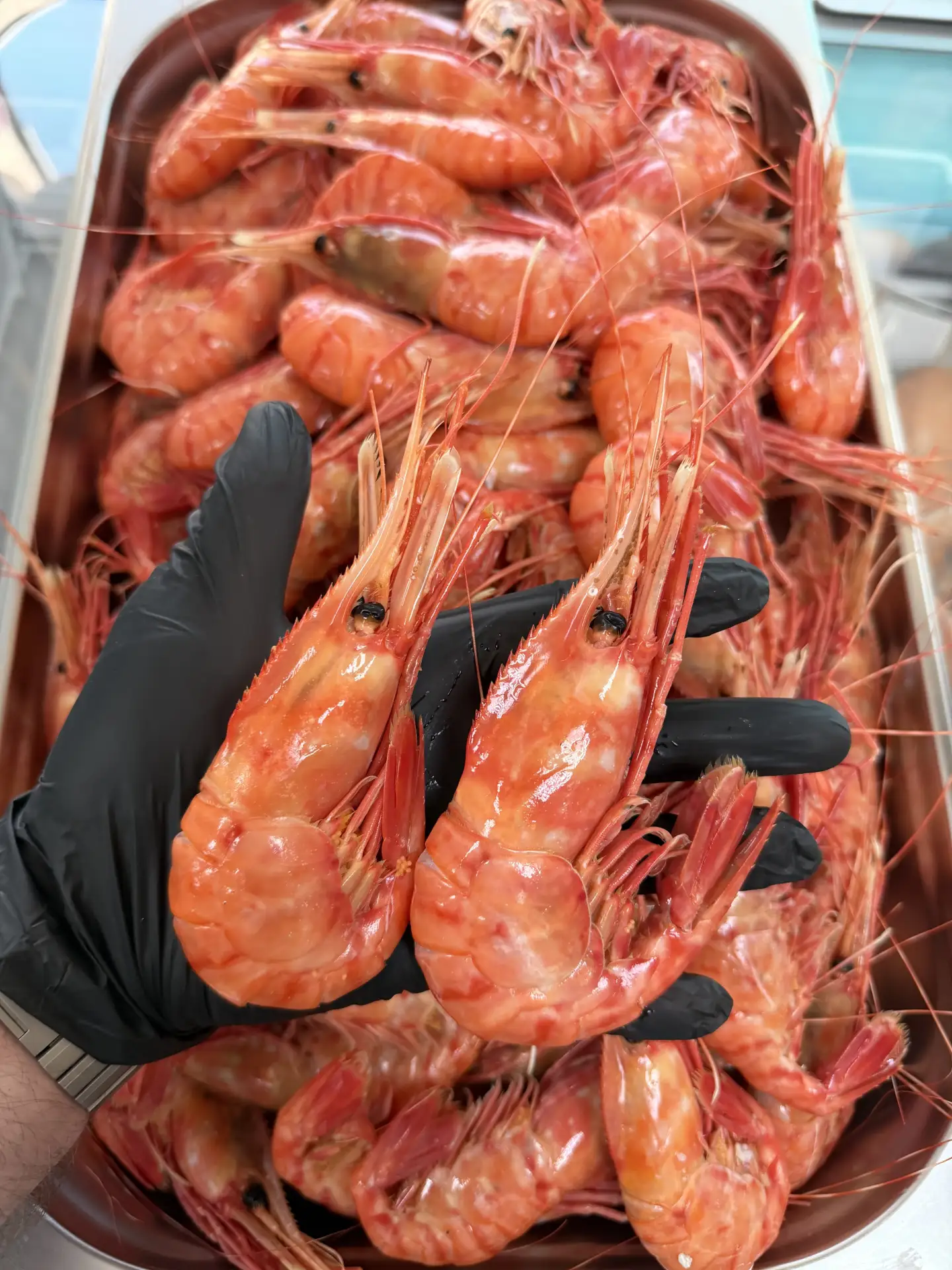 • Ботан🦐 Парной(крупный) - 4.200₽/1кг🔥
