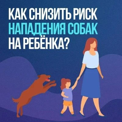 Осенью и до конца весны риск нападения бродячих собак наиболее велик. Ведь именно в это...