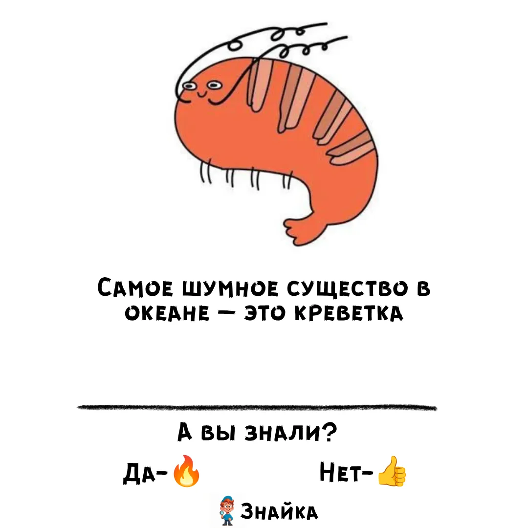 💡Знайка