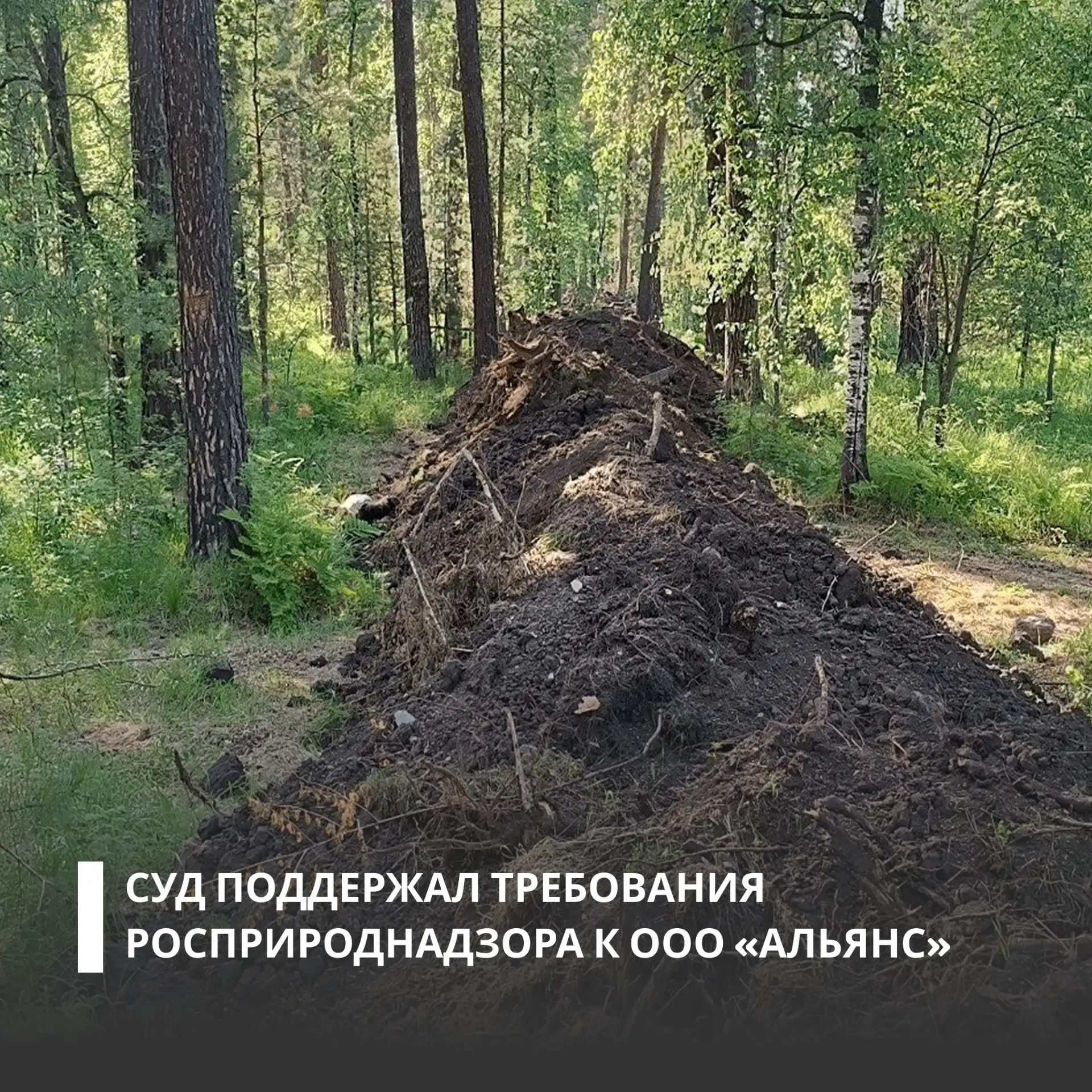 На территории туристической базы «Чепош Парк» в Республике Алтай выявили нарушение при ...