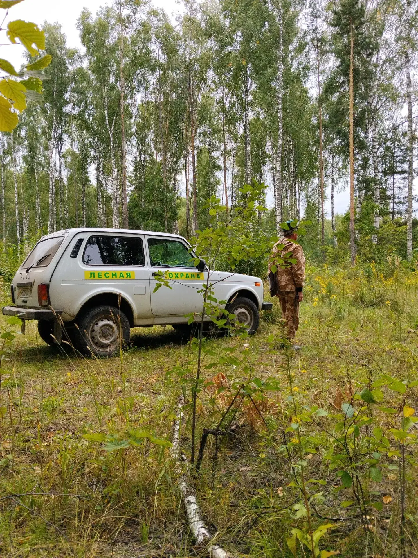 Инспекторы Краснослободского территориального лесничества ежедневно осуществляют патрул...