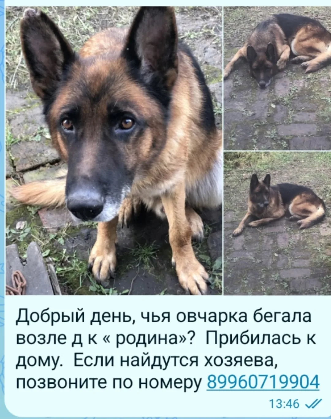Источник: Открыть