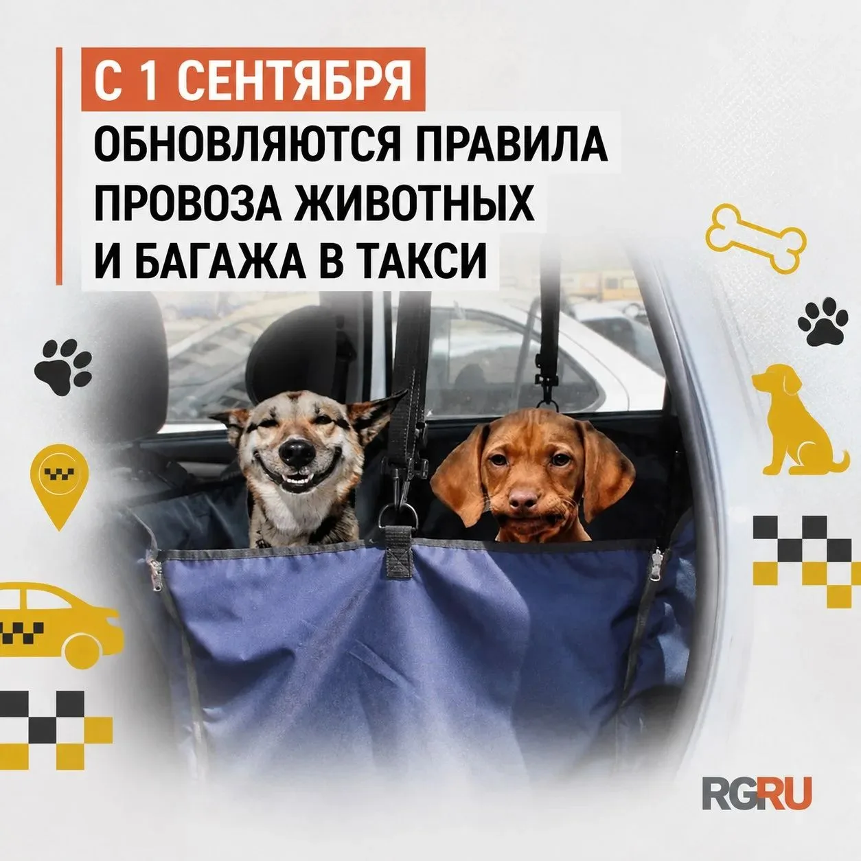 С 1 сентября уточняются правила провоза животных и багажа в такси, следует из приказа М...