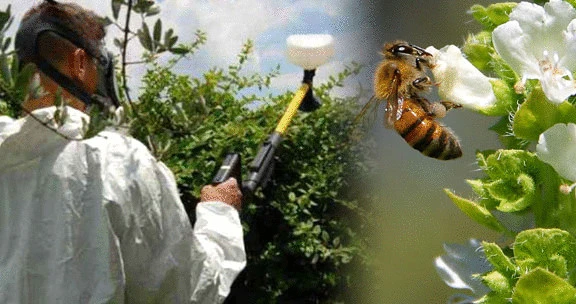 ⚡🐝Напоминаем пчеловодам и аграриям о скоординированных действиях для защиты пчел от отравления пест