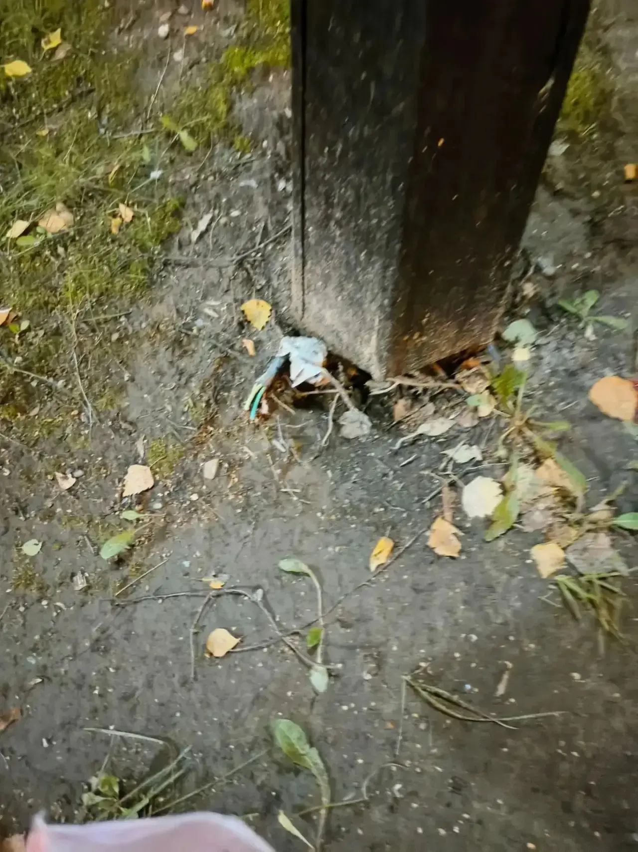 Внимание!!! 4 мкр, столбы вдоль дороги, оголенные провода, бьет током. 4 и 8 от лаваша.