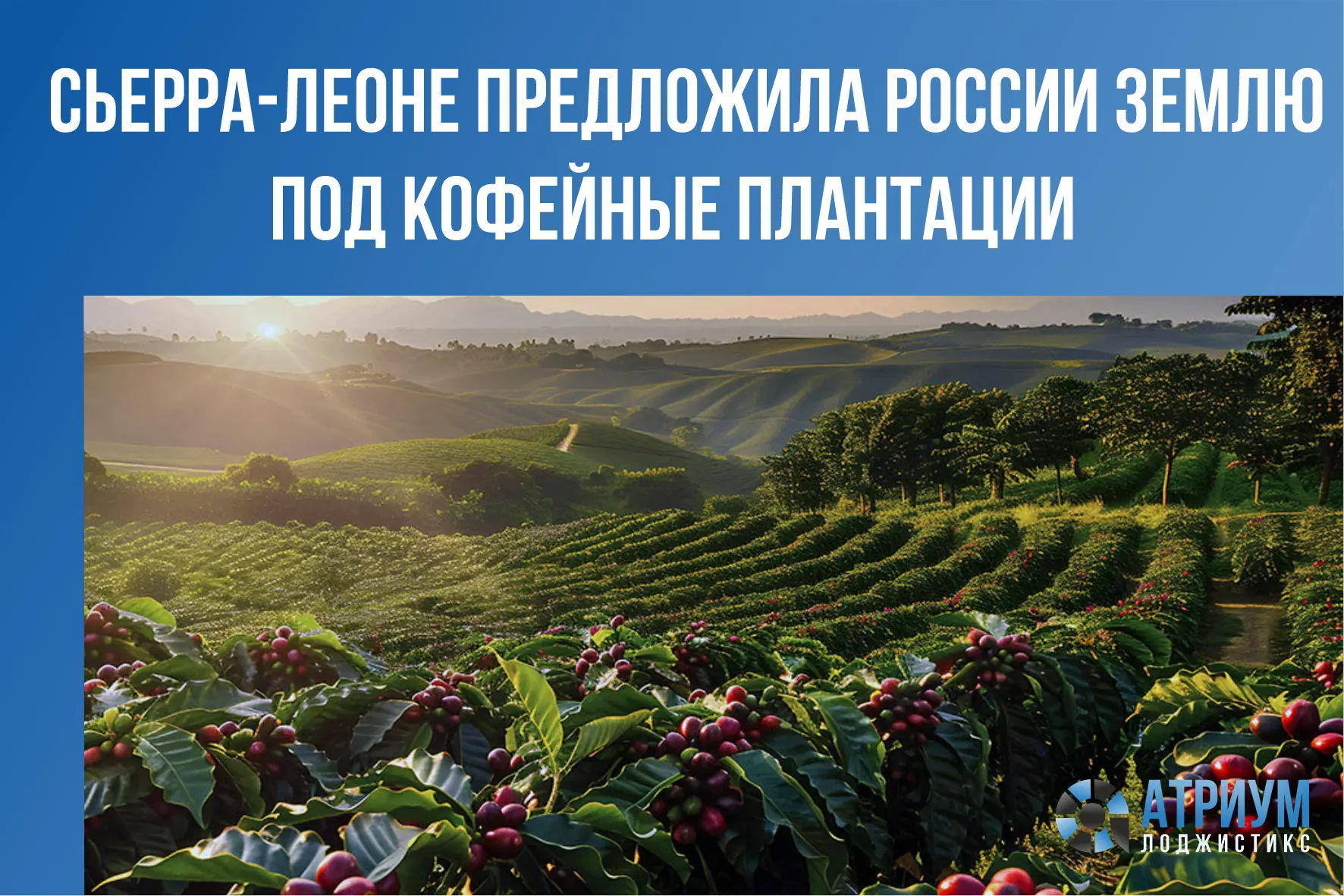 Посол Сьерра-Леоне в России Мохамед Йонгаво заявил, что страна готова сдавать российски...