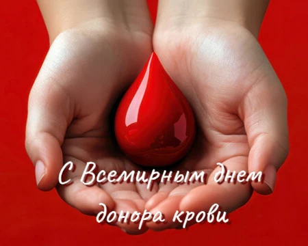 🌟С Всемирным днём донора крови!🌟

💖 Дорогие доноры, волонтёры и все, кто причастен к благородному