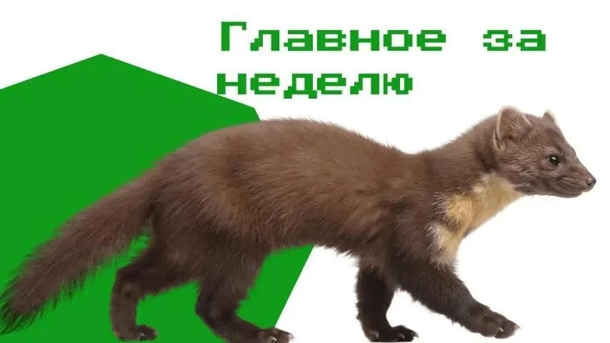 📌 Медиадом "Вся Уфа" возглавил Дмитрий Каретко
