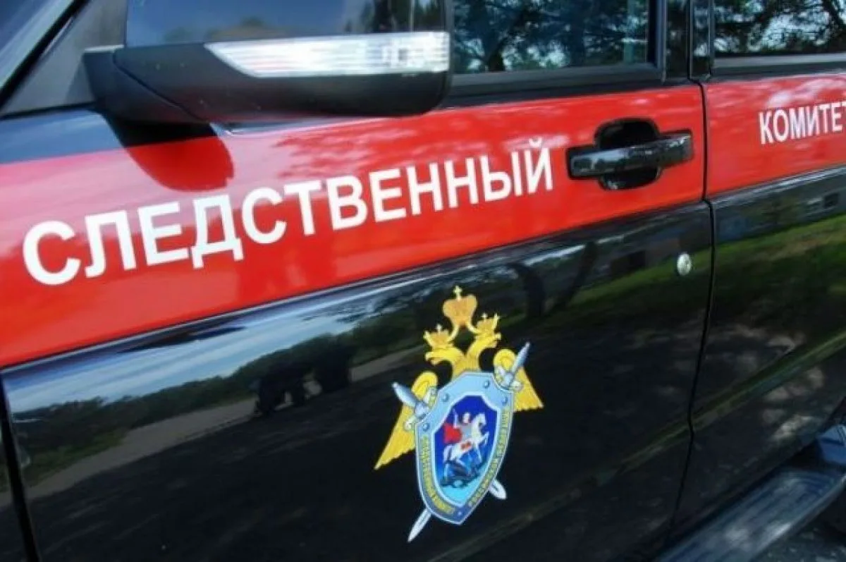 На муниципальном пляже Волгодонска стая собак покусала 10-летнего ребенка и мужчину 🐕🏖️