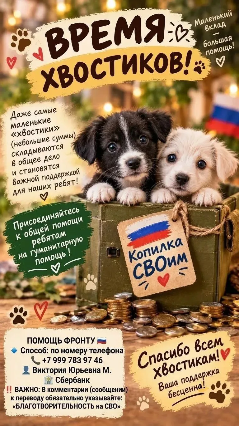 Переводы на Генератор от 03.10 Спасибо вам, что помогаете ❤️
