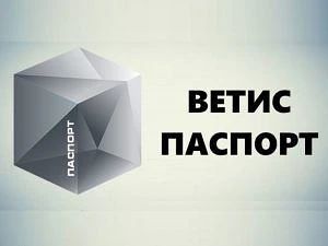 Россельхознадзор установил факт оформления ветеринарных сопроводительных документов с а...