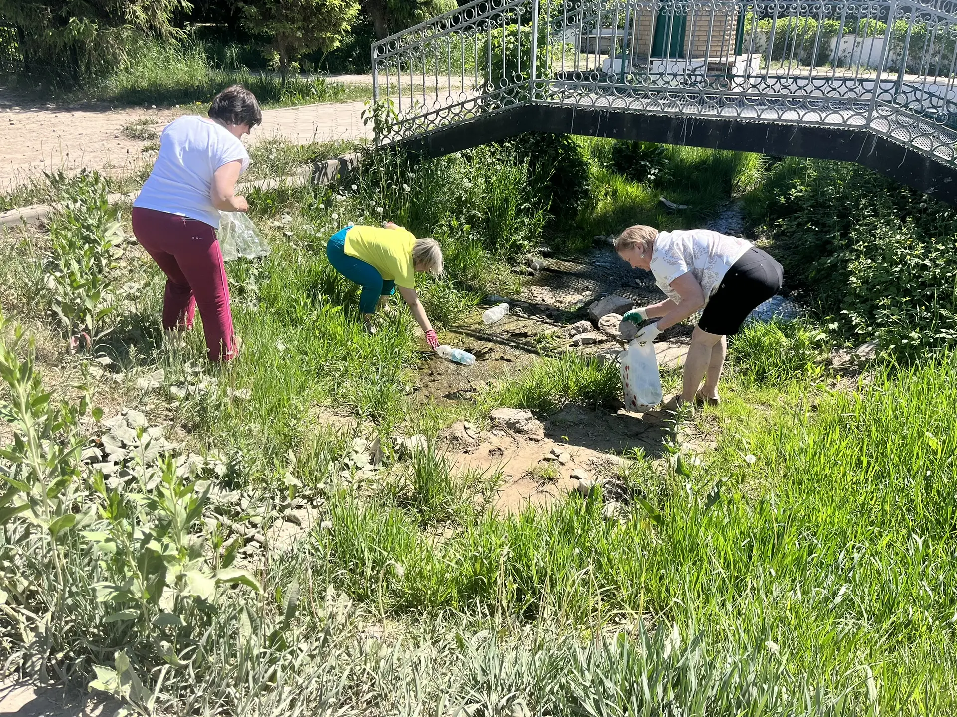 Педагоги нашего детского сада  присоединились к акции «Чистая вода». Приняли участие 5 ...