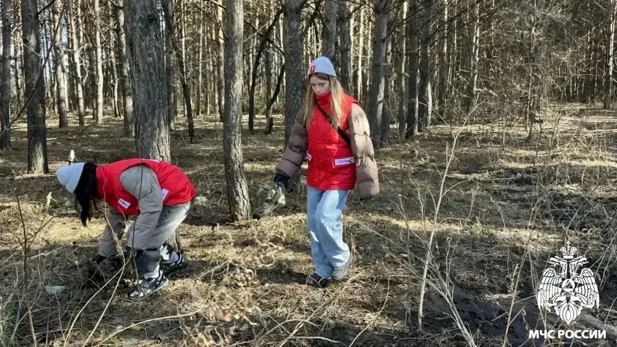 🌲 Лес — наше богатство.  🔥 Береги его от огня!  Эти слова знакомы каждому с детства.  Но, к сожалени