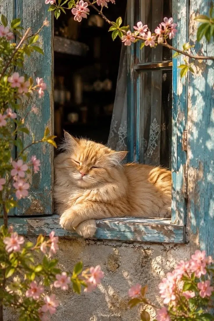 🌿 Спокойствие

«Иногда лучший ответ —

тишина.

Не потому, что нечего сказать.

А потому, что своё 