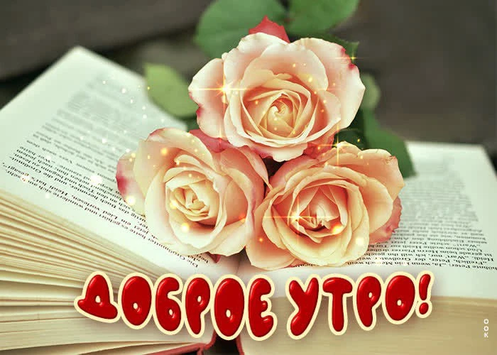 @FastRecepts