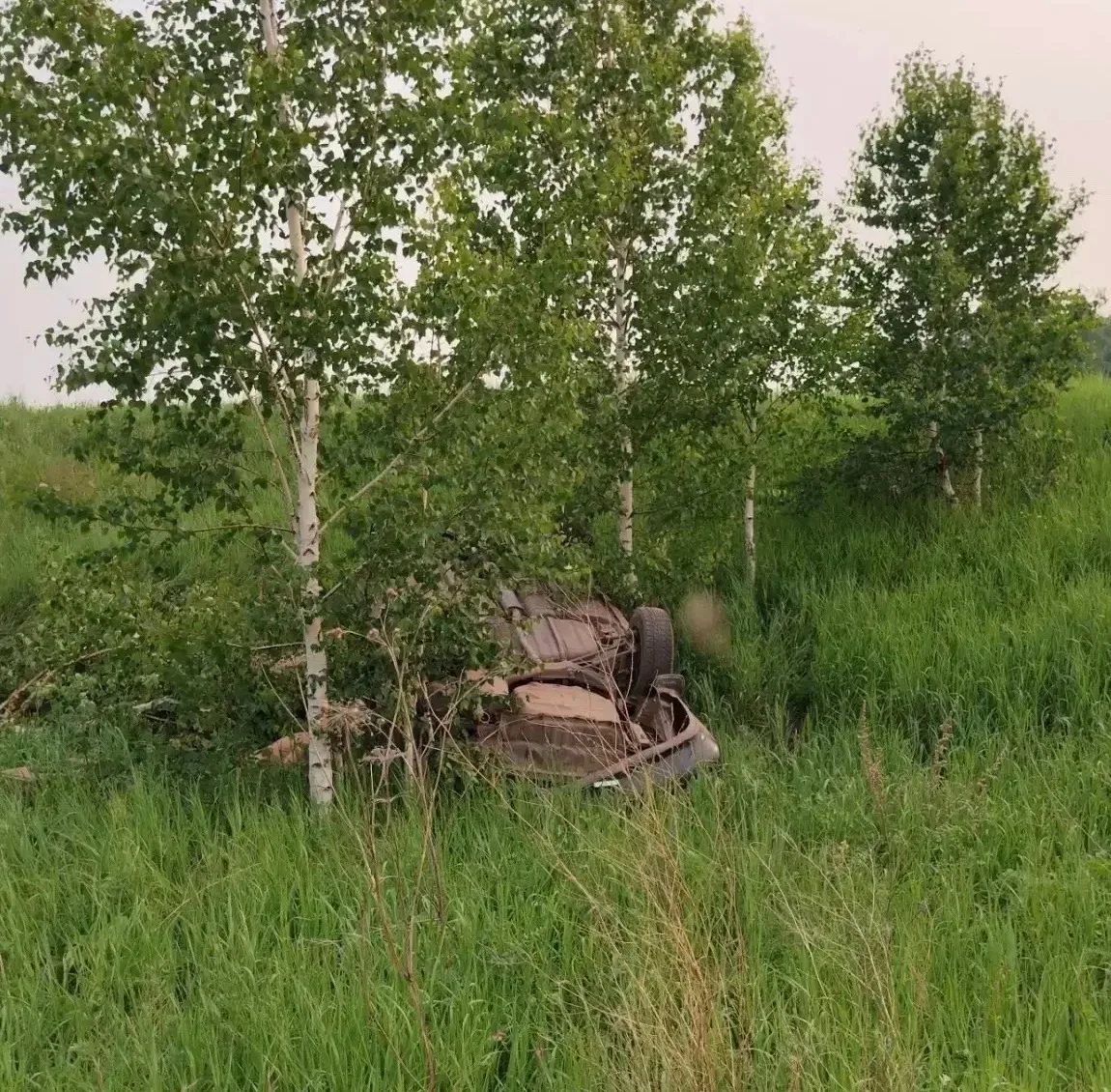 В Орджоникидзевском районе перевернулась Тойота: водитель сбежал, пассажиры были пьяны

21 июня окол
