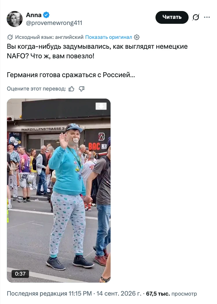 И люди удивляются, почему AfD победила