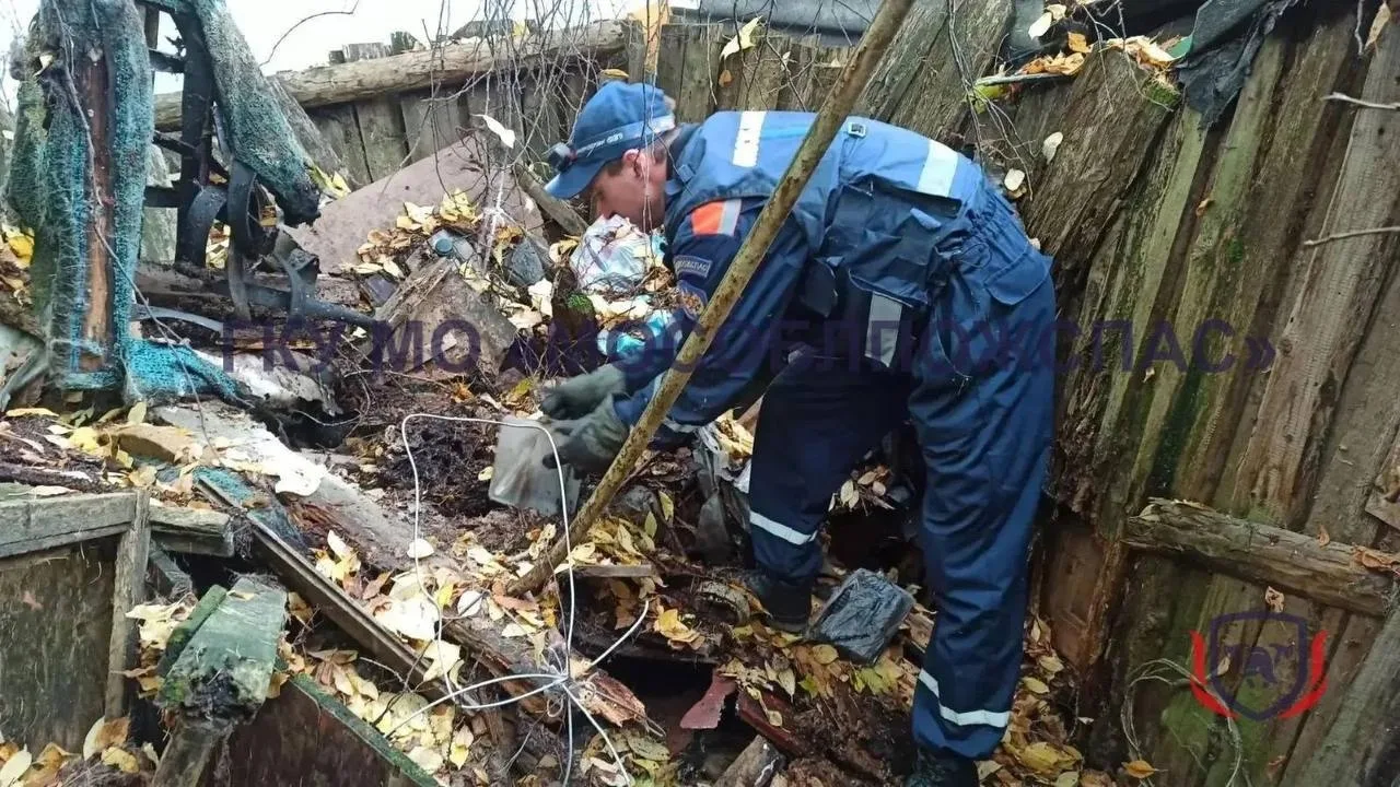 😍 Собака провалилась в яму, а ее друг ждал спасения рядом